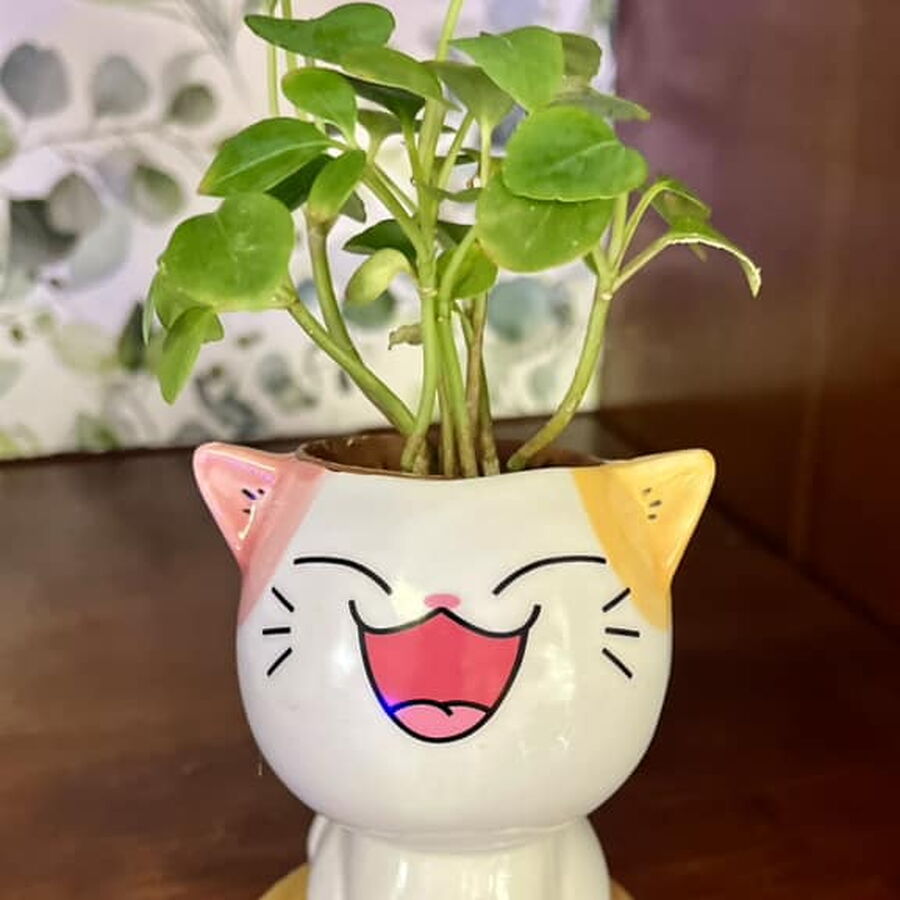 Mini cat shaped planter with large smile closed eyes