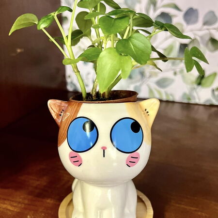 Mini cat shaped planter with big blue eyes