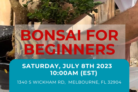 Ad for a Beginner Bonsai Class July 8th 2023 at The Yard