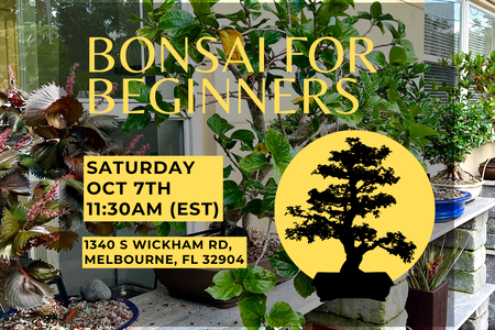 The Yard Bonsai for Beginners Ad for Class October 7th 2023