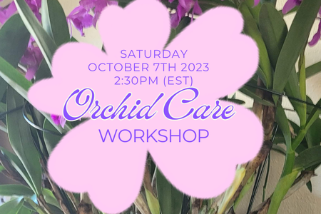 Ad for Orchid Care Class in Melbourne Florida at The Yard