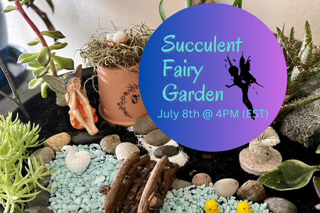 Succulent Fairy Garden July 8th 2023 at The Yard FL