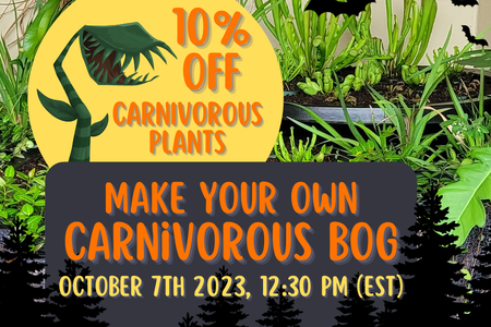 Ad with carnivorous bog plants