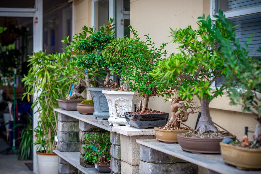 The Yard Bonasi Display