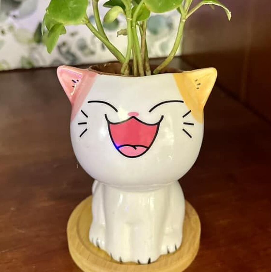 Mini cat shaped planter with large smile closed eyes