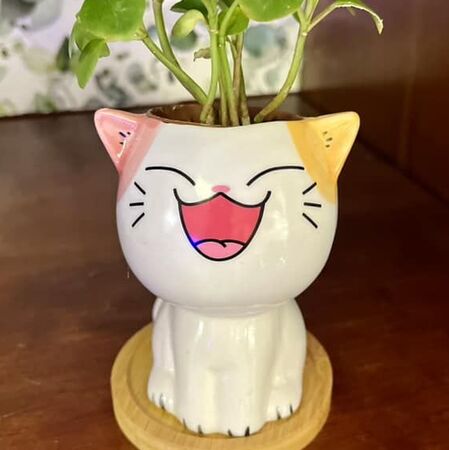 Mini cat shaped planter with large smile closed eyes