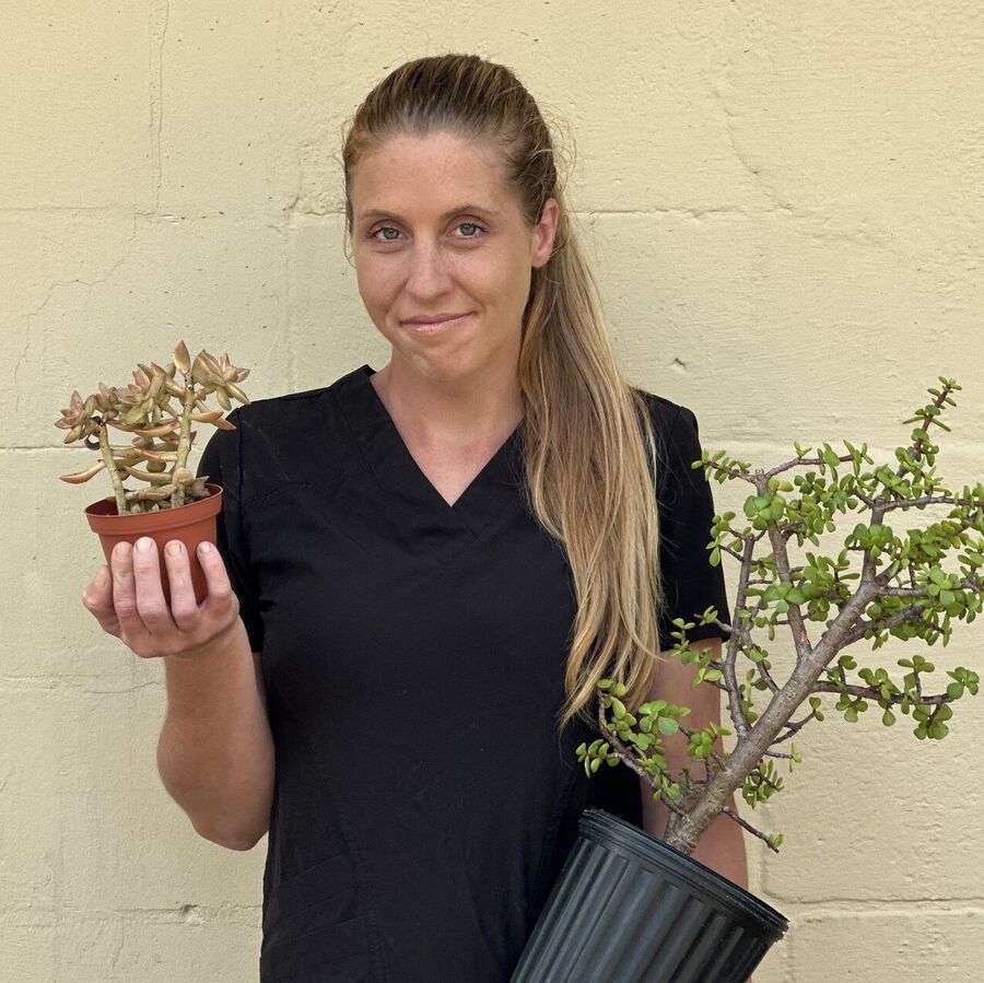 Erica Bare Grounds Keeper at The Yard Garden Supply Melbourne FL