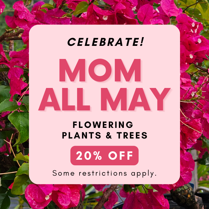The Yard Landscape Supply Mother's Day Sale